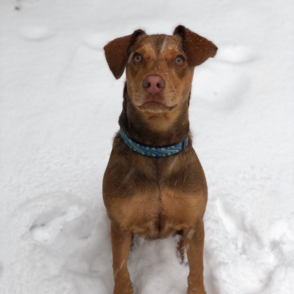 Meet your Posher, Victoria